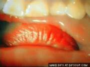 [Gif Internal], So You Have Been Shrunk And Popped Into Their Mouth, But Then They ...