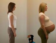 Everything Grows In This Progression Shot