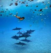 Awesome Exploration (R/Lifeisabeach)