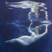 Venus Off The Half-Shell