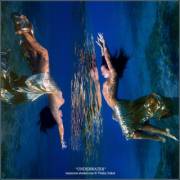 Album Of Smaller Images By Vitaly Sokol.