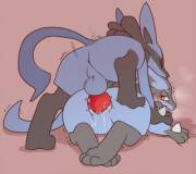 [M] Lucario X [F] Lucario