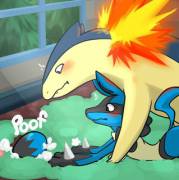 [X-Post From /R/Pokemon ?] Lucario [F] X Typhlosion [M]