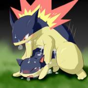 Typhlosion [M] On Quilava [?]