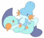 [X-Post From /R/Kemofurry] Marshtomp [?] Giving Mudkip [M] The Pleasure He Needs