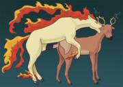 [Beg Response] Rapidash On Females [Coed, Pokémon]