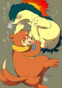 Typhlosion [M] + Buizel [M]