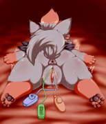 Zorua Likes Her Toys [F]