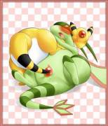 Ampharos X Flygon (F/F)
