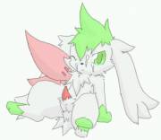 Correcting A Lack Of Shaymin [4 M Solo, 4 F Solo, M Shaymin/M Pikachu, F Shaymin/M ...