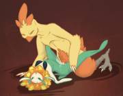 [M/F] Combusken Vs. Florges