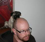 Just A Picture Of My Little Bitch Giving My Shiny Head A Good Licking