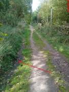 Aren't Jocks Supposed To Get Rewarded For Studying?? I Get So Horny When I Read