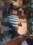 A Friend Posted Pictures To R/Gonewild And Felt Kinda Bad So I Am Gonna Cheer Her ...