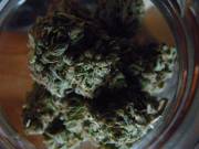 Just Got Back [F]Rom My Dealers, Who Wants To Smoke With Me? [7]