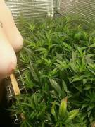 [F]Ull Screen And Perky Tits