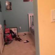 Kassidy Cook  Usa Diver