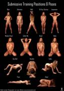 Submissive Pose Chart (X Post /R/Bdsmnsfw)
