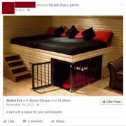 For Some Reason, I Don't Think That's For A Dog...