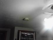 Sometimes, When You Live With Other People, You Have To Get Clever...