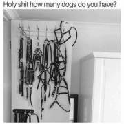 I Got A Tickle From This ;)