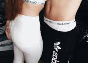 Calvins