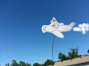 Tvu Got His Pilot's License Just For This