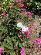 Just Admiring The Beauty Of Nature When...