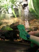 Tvu Hit The Road Again Ya Dicks!