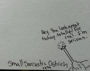 Somehow I Don't Believe You, Small Sarcastic Ostrich.
