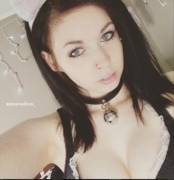 Collared And Meowing