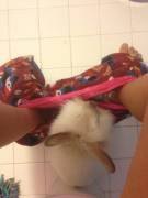 Mmmm To Bunny Or Not To Bunny