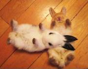 Me And A Friend On Our Backs