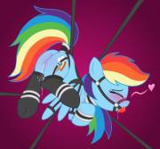 Quite An Elaborate Set Up Here. I'm Sure Rainbow Dash Appreciates It. [Solo][Bondage] ...