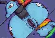 Rainbow Dash Anal Sex [M/F] (Cum Version In Comments) (Artist: Staggeredline)