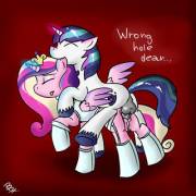 But It Feels Right [Princess Cadance And Shining Armor][M/F] (Artist: Dynamicphoto)