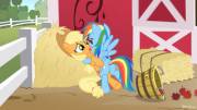 Oh No! Not My Apples [Applejack][Rainbow Dash][F/F]