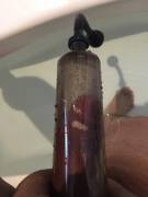 Pumped At The Gym And Now Pumped At Home!