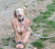 My Guard Dog Blindfolded, She Relies On Smell And Sound To Bark At Intruders (X-Post ...