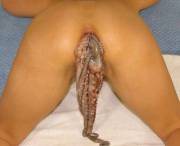 In The Mood [F]Or Some Sushi