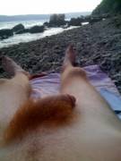 In The Forest, By The Ocean.