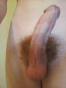 Was Told By A Wild Pmer To Post This Here.