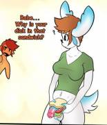 Thats It I Ran Out Of Sandwich Pics