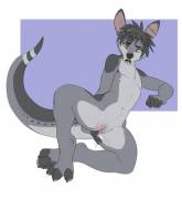 Testing The Waters With A [C]Angaroo