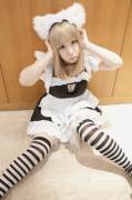 3 Nekomimi Maid Cosplay By Cho [X-Post /R/Zettairyouiki]