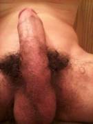 18/Gay/Virgin, What Do People Think Of My Pecker?