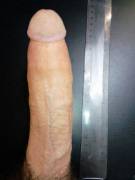 While My First Post Got Upvotes, It Got No Comments? Lol... Let's Try Another Pic ...