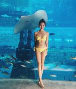 Perfect Photobomb (/X/Post Via /R/Realasians/)