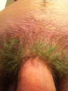 Green, The Color Of Evil!