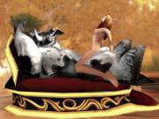 For The Sunwell (Blood Elf Album 30 Pics)